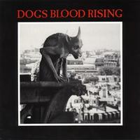 Dogs Blood Rising cover mp3 free download  