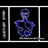 The Rebirth Of Agony cover mp3 free download  