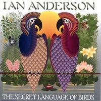 The Secret Language of Birds cover mp3 free download  